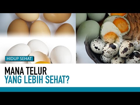 Telur Bebek Berapa Protein