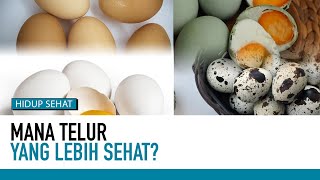 Telur Ayam, Telur Bebek, Telur Puyuh, Mana Lebih Sehat? | Tips Sehat