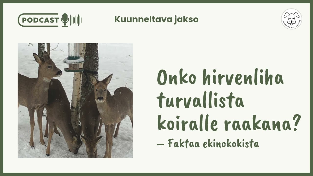 Onko hirvenliha turvallista koiralle raakana? Faktaa ekinokokista | Podcast