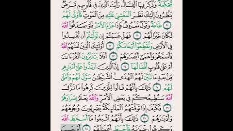 سورة محمد الآية ١٢ الى ١٩