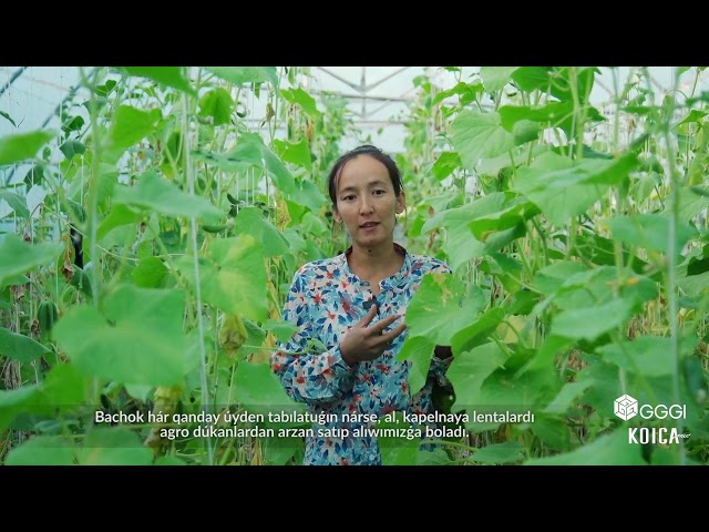 KK | Drip Irrigation