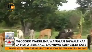 MGOGORO WAKULIMA,WAFUGAJI NGWALE KAA LA MOTO, SERIKALI YAOMBWA KUINGILIA KATI