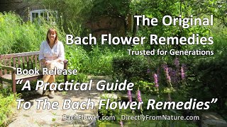 A Practical Guide To The Bach Flower Remedies2