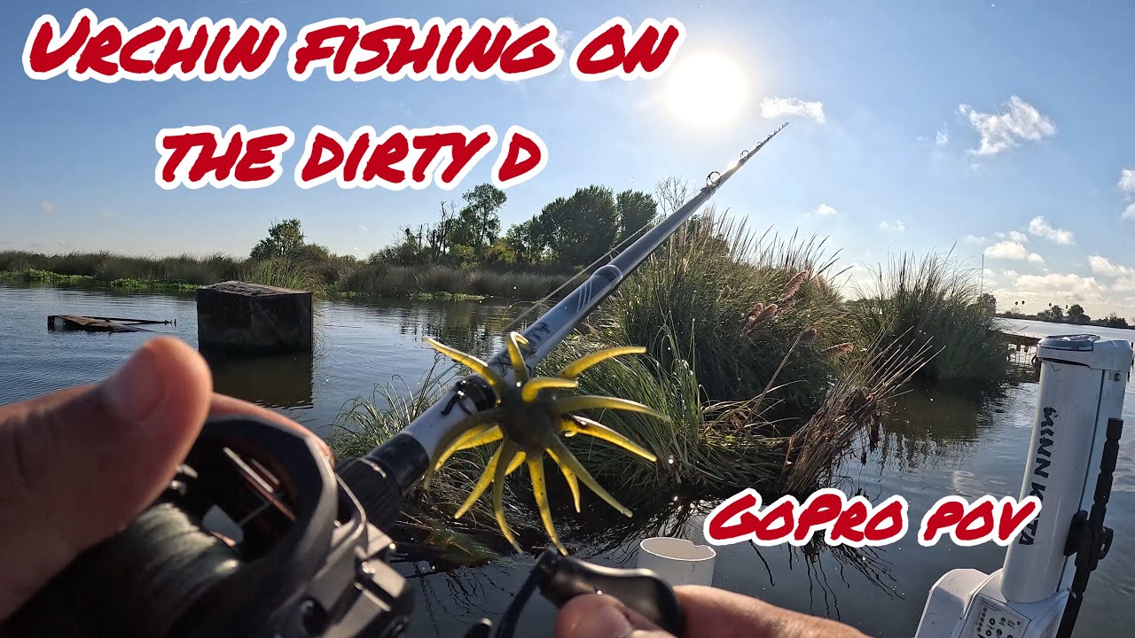 (Part7) First Time Bass Fishing On A Boat In 20 YEARS !!