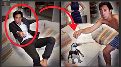 A Penguin STOLE MY DATE | Best Zach King Tricks - Compilation #49