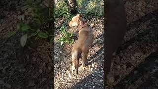 Temps Fort 214 - 712 De Aldostarr13 Est En Direct 