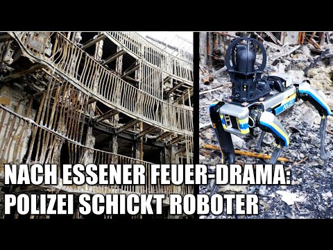 Flammeninferno in Essen: Roboterhund durchsucht Brandruine | 22.02.2022