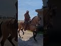 Eso y más, Joan Sebastian