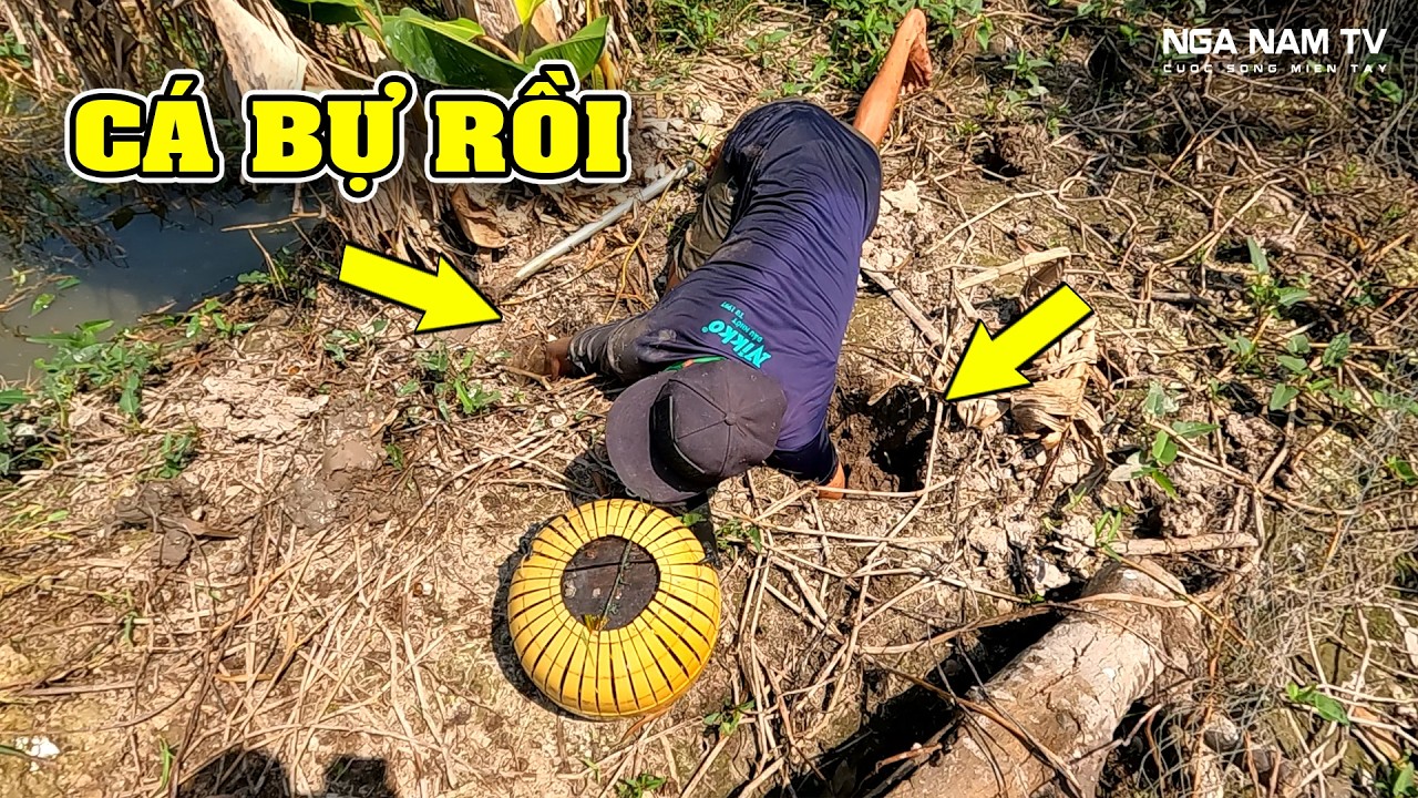 Bắt Cá Mùa Nước Rút Cá Vô Hang Thấy Ham 😱😍 NGÃ NĂM TV