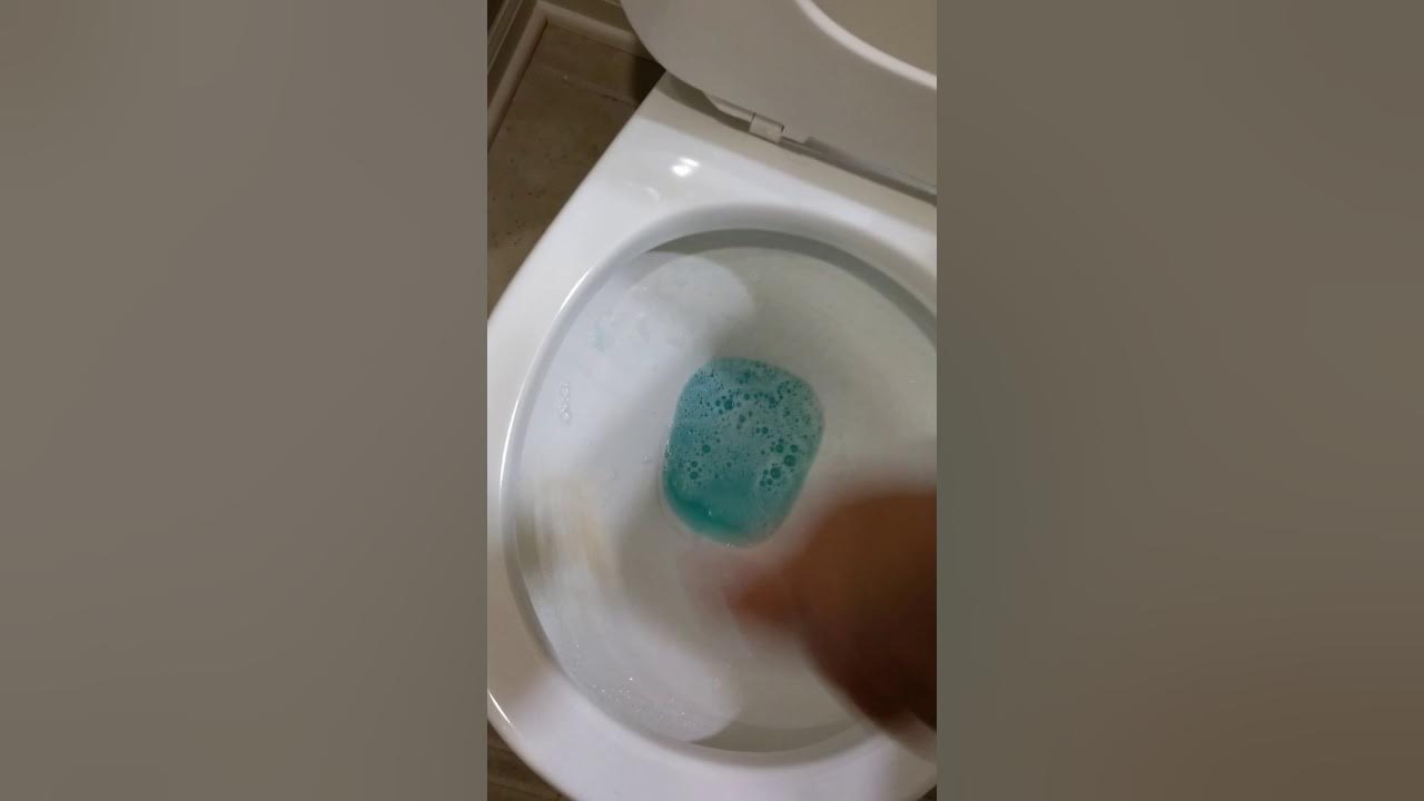 How to get rid of black toilet mold easy YouTube
