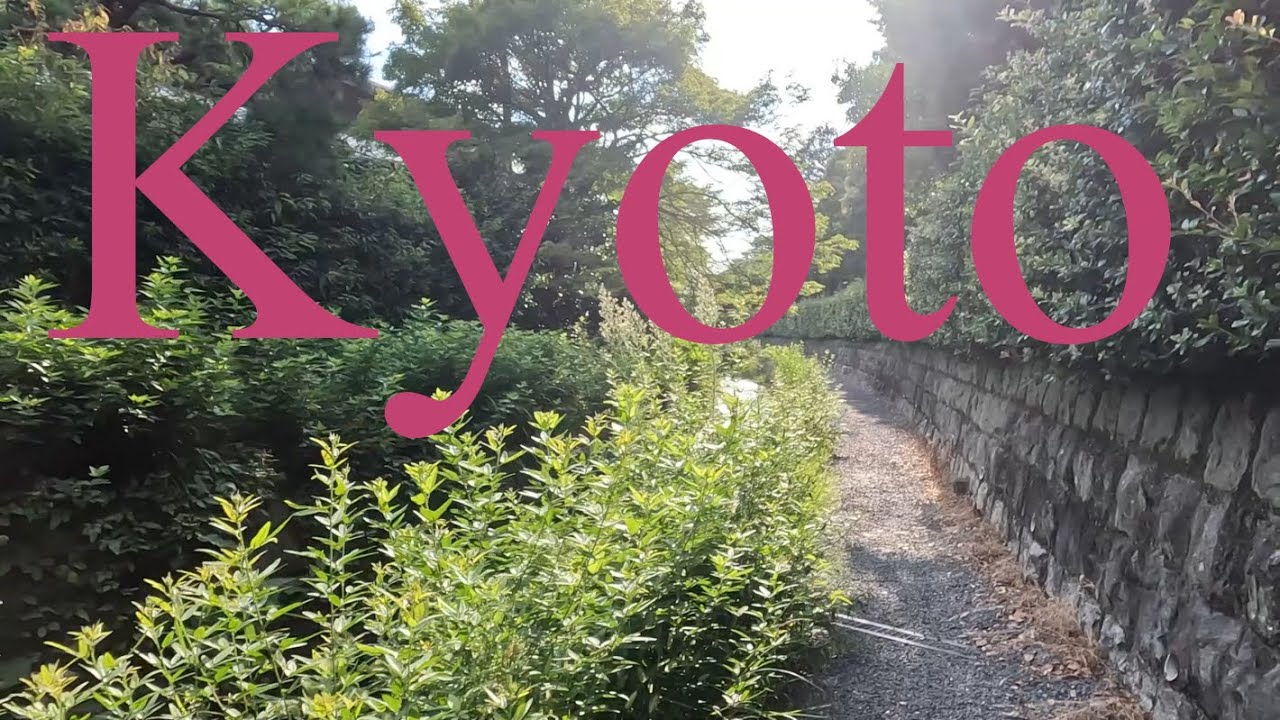 京都市の岡崎地域を散策 Walking Tour in Okazaki District, Kyoto, Japan YouTube