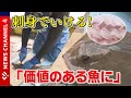 食べて驚き!”未利用魚”を「価値のある魚に」 地域の漁業守るチャレンジ<NEWS CH.4>