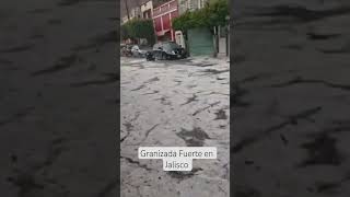 Fuertes granizadas en Jalisco México 03 de agosto 2026 #Naturaleza #Grqnizo