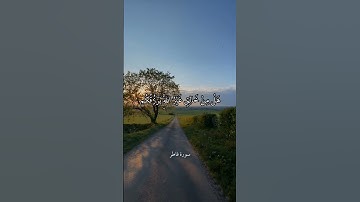 يَا أَيُّهَا النَّاسُ اذْكُرُوا نِعْمَتَ اللَّهِ عَلَيْكُمْ || سورة فاطر || علي جابر