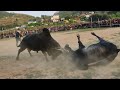 Byriong mawngap vrs risang   bullfight fight bullfight