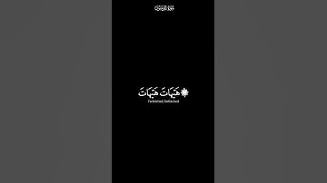 ولئن اطعتم بشرا مثلكم | كرومات شاشة سوداء القران الكريم | القارئ ياسر الدوسري
