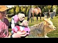 Baby Monkey Sees Farm Animals for the First Time!