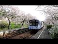 【桜満開】のと鉄道 七尾行 普通列車 NT200 能登鹿島駅 到着~発車 / 能登さくら駅