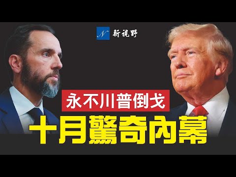 永不川普官员为川普辩护，自由派主持人惊慌失措！史密斯公开川普起诉书，揭反常背后的黑幕。川普美国大选史密斯