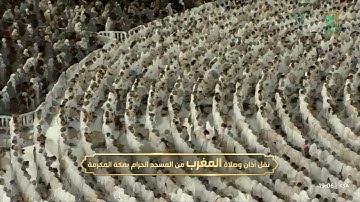 صلاة المغرب|للشيخ بندر بليلة 1 ذو القعدة 1444هـ| من سورة فاطر 15 - 26