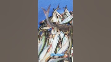 #Shorts / Câu cá dứa cá xác sọc mồi này nó khoái lắm miền tây sông nước #KiềmRapper