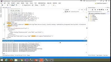 Private NuGet Gallery SetUp