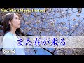 【MV】また春が来る【作詞・作曲: 森井奈緒】− Vol.3