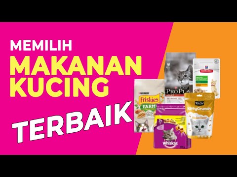 Video: Pelatihan Merpati Pos