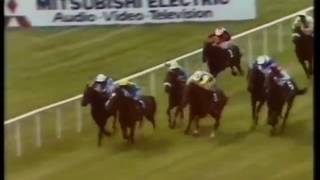Sadler's Wells- Irish 2000 Guineas (Group 1)-1984