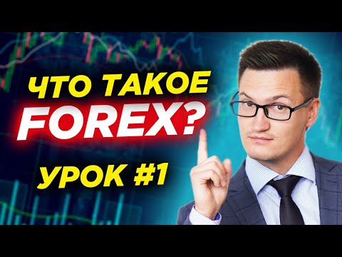 Урок 1. Что такое Форекс? Основные понятия и принципы работы. Как заработать на форекс в 2024?