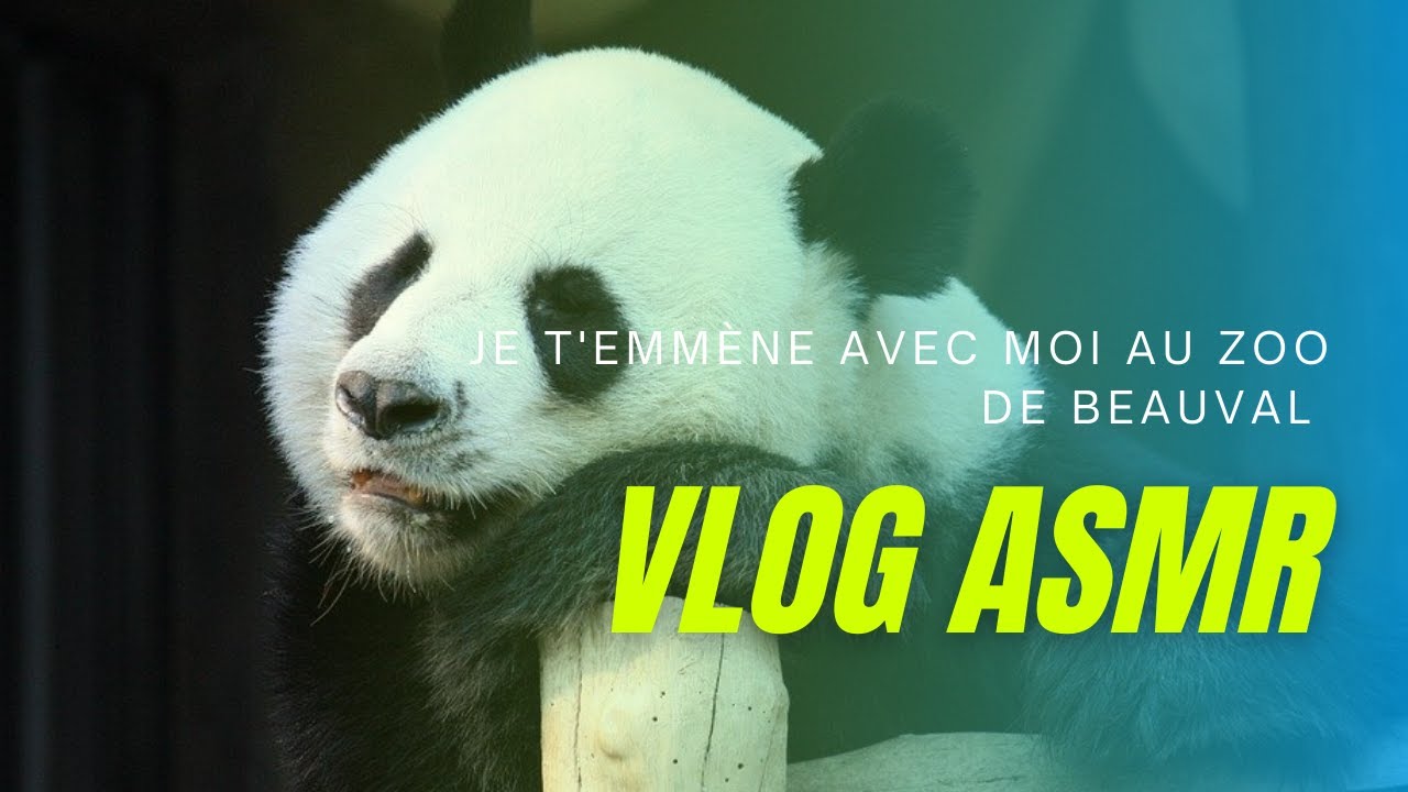 ASMR FR 🐼 Je t'emmène avec moi au Zoo de Beauval (chuchotement proche du micro)