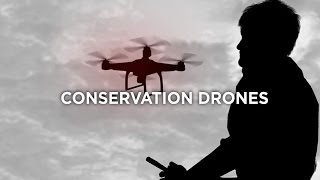 Conservation Drones