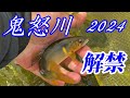 【鮎釣り2024】鬼怒川解禁日