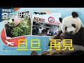 二十年租約到期 返中國！神戶動物園 貓熊離別曲- 李四端的雲端世界