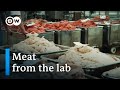 The world of meat substitutes  dw documentary