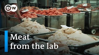 The World of Meat Substitutes