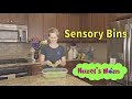 Sensory Bins - How To | Videos for Grownups