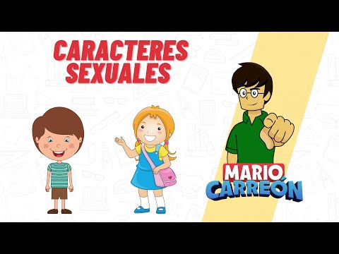 Video: Características Sexuales De Los Hombres En Las Relaciones