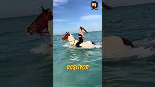 Atlar Suda Yüzüyor Resimi