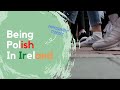 POLISH MIGRANT'S EXPERIENCE LIVING IN IRELAND