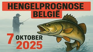 VISVOORSPELLING in België op 7 oktober 2025: Laat alles vallen en ga vissen!