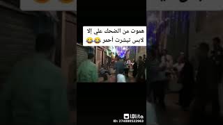 حد يمسك الحصان يا ناس ههههههههههههه