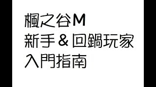 《楓之谷M》新手玩家指南- 裝備養成、賺取楓幣、基本常識......