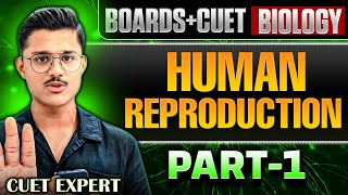 Boards + Cuet 2026 Biology | Human Reproduction Explained In Detail By Cuet Expert!