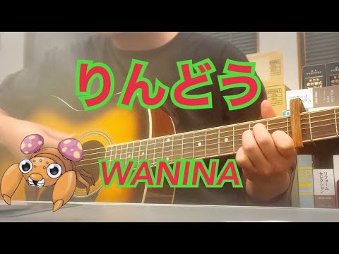 【46日目】りんどう/WANIMA【初心者から1日1曲チャレンジ】