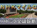 【JRAライブ】競馬記者が全レースのパドックを解説【NHKマイルC 2026】