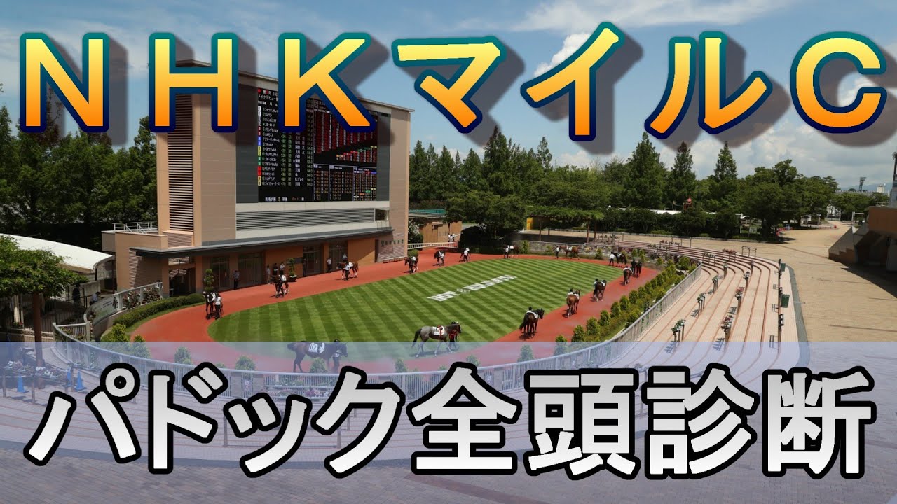 【JRAライブ】競馬記者が全レースのパドックを解説【NHKマイルC 2026】