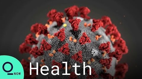 Omicron Variant Found to Transmit Four Times More Than Delta: Study