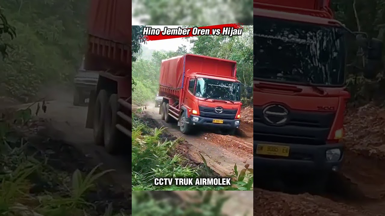 Hino Chamber Hijau vs Oren ‼️