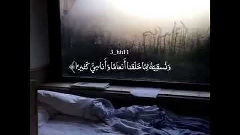 القران الكريم طمأنينة وسكينة وأرتياح.